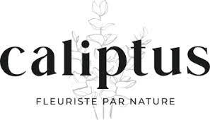 caliptus