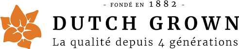 dutchgrown