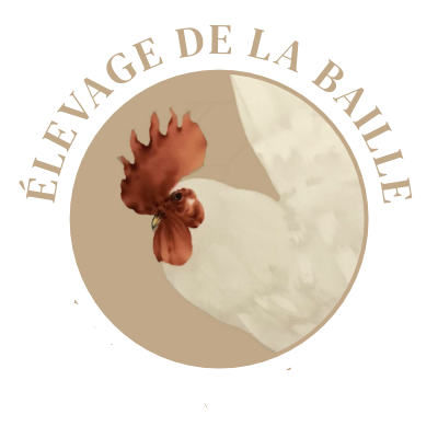 Store Icon