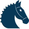 Store Icon